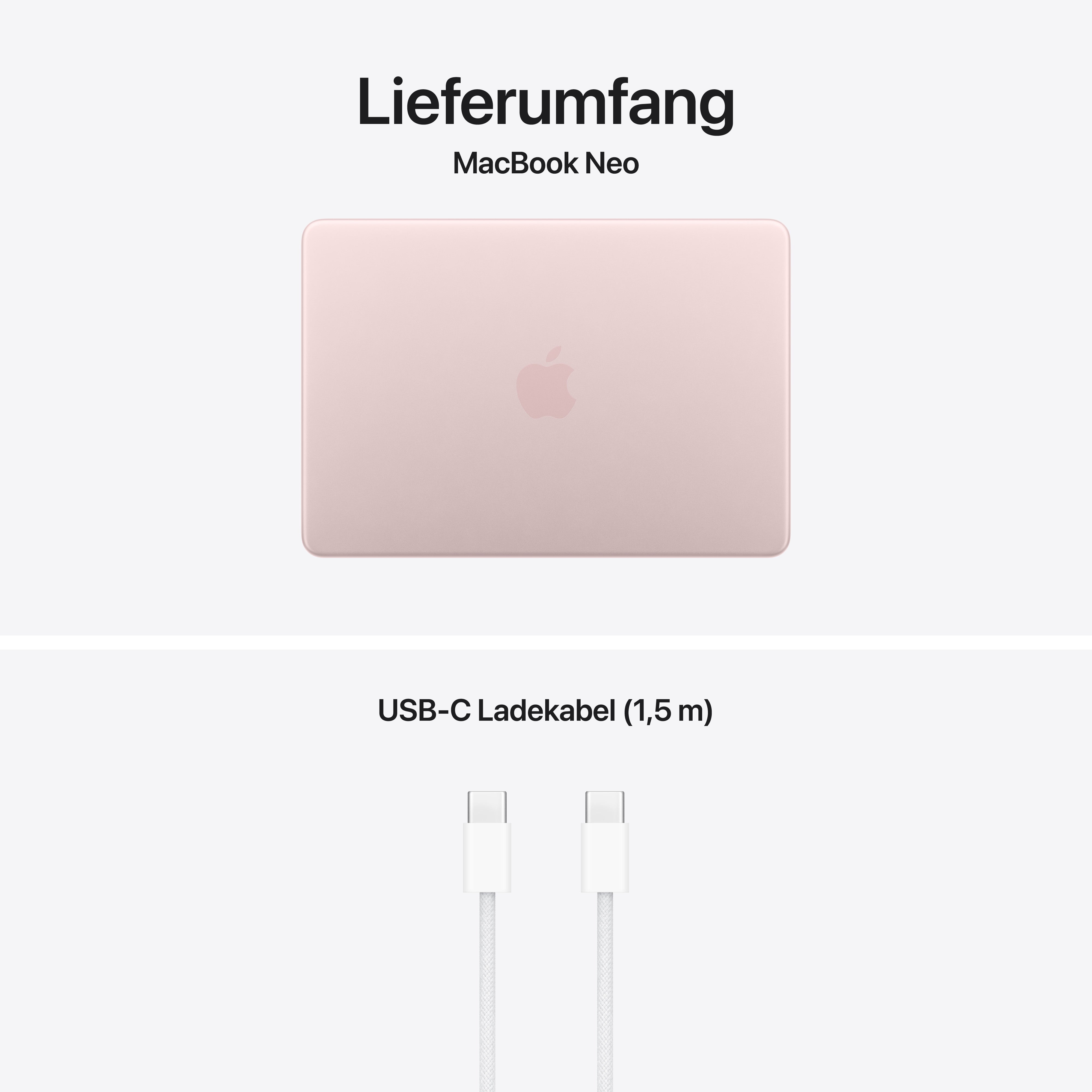 Apple MacBook Neo - 13" Liquid Retina Display - Blush - 8GB - 256GB - Magic Keyboard ohne TouchID